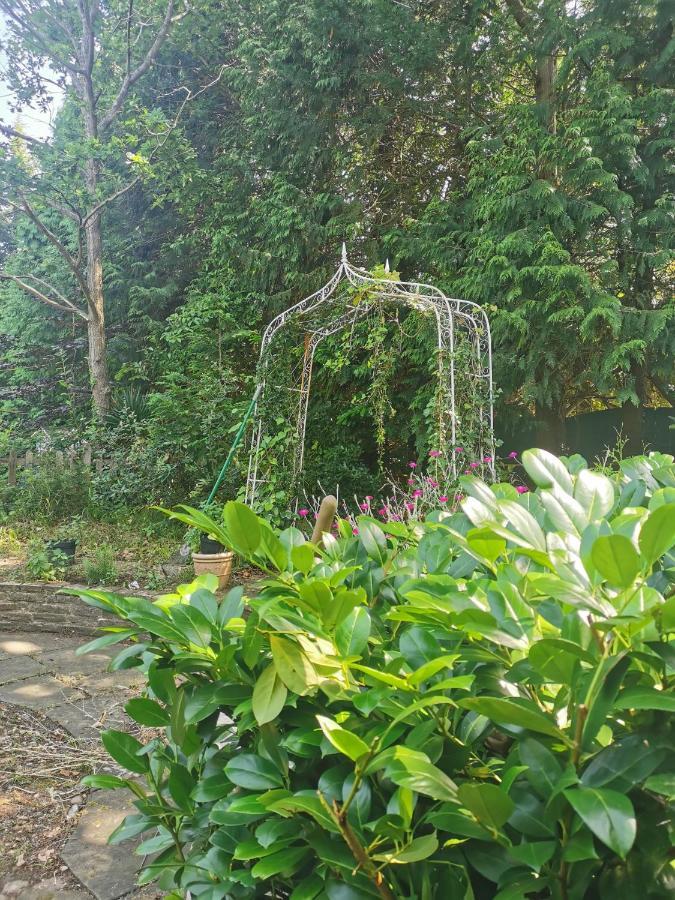 Peaceful Retreat Hideaway Surrey Daire Esher Dış mekan fotoğraf